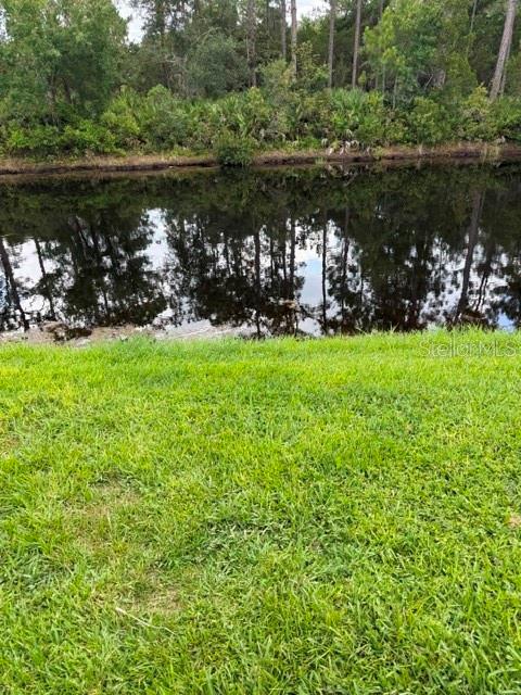 A grassy lawn leads to a dark pond bordered by trees and dense vegetation — 251 ORANGE GROVE DRIVE Unit 6, ORMOND BEACH, FL