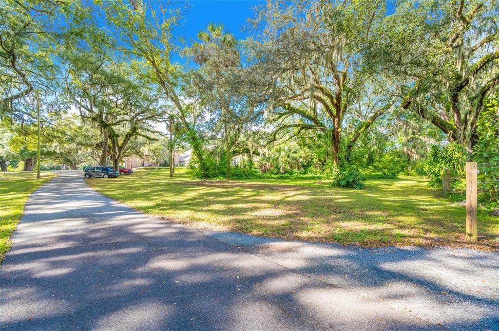 A paved driveway leads toward a grassy lot shaded by large, moss-covered oak trees — 11433 WELDON STREET, SEFFNER, FL