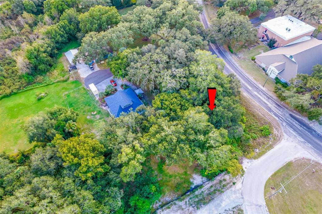 An aerial view shows a house surrounded by dense trees near a paved road — 11433 WELDON STREET, SEFFNER, FL
