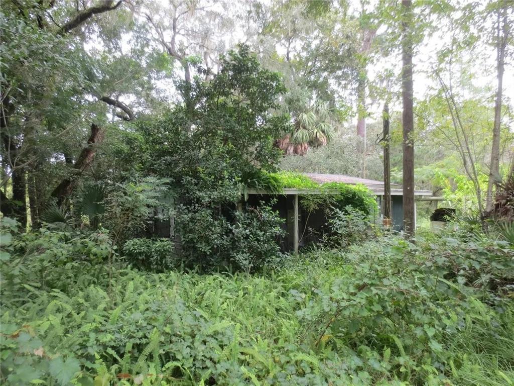 A small, weathered house is heavily overgrown with dense vegetation and trees in a wooded area — 16865 SE 3RD PLACE, SILVER SPRINGS, FL