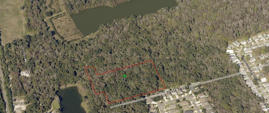 3270 TICKLE TERRACE, EDGEWATER, FL — photo 5 of 11