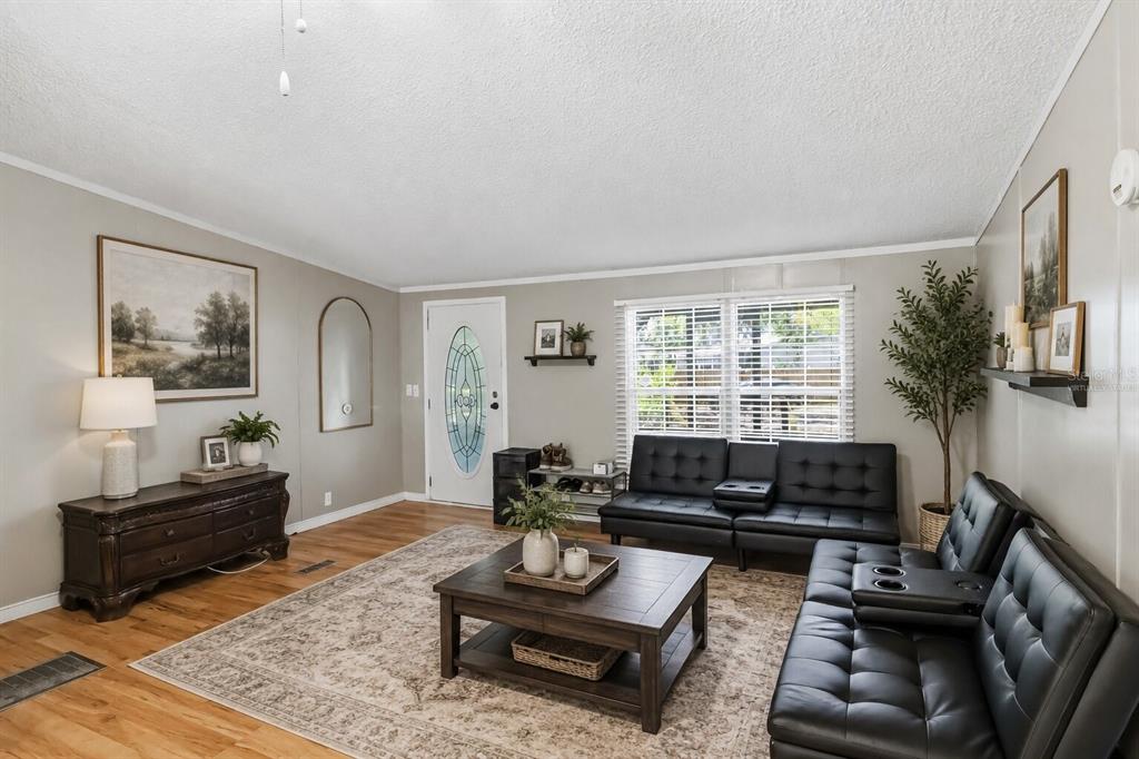 A living room features wood flooring, a large area rug, black sofas, and a front door — 12104 WOODSIDE DRIVE, RIVERVIEW, FL