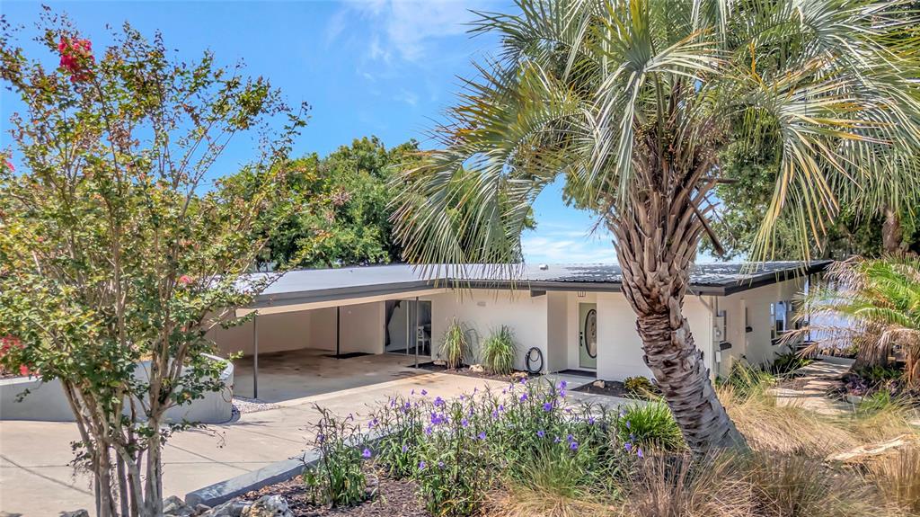 A single-story house with a carport, a palm tree, and landscaping in the front yard — 11900 ELBERT STREET, CLERMONT, FL