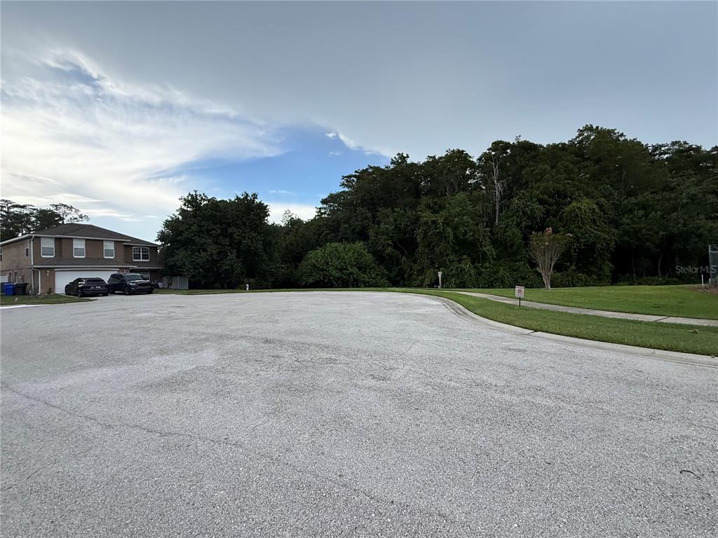 A paved cul-de-sac street features a residential house on the left and dense surrounding trees — 4466 GREAT HARBOR LANE, KISSIMMEE, FL