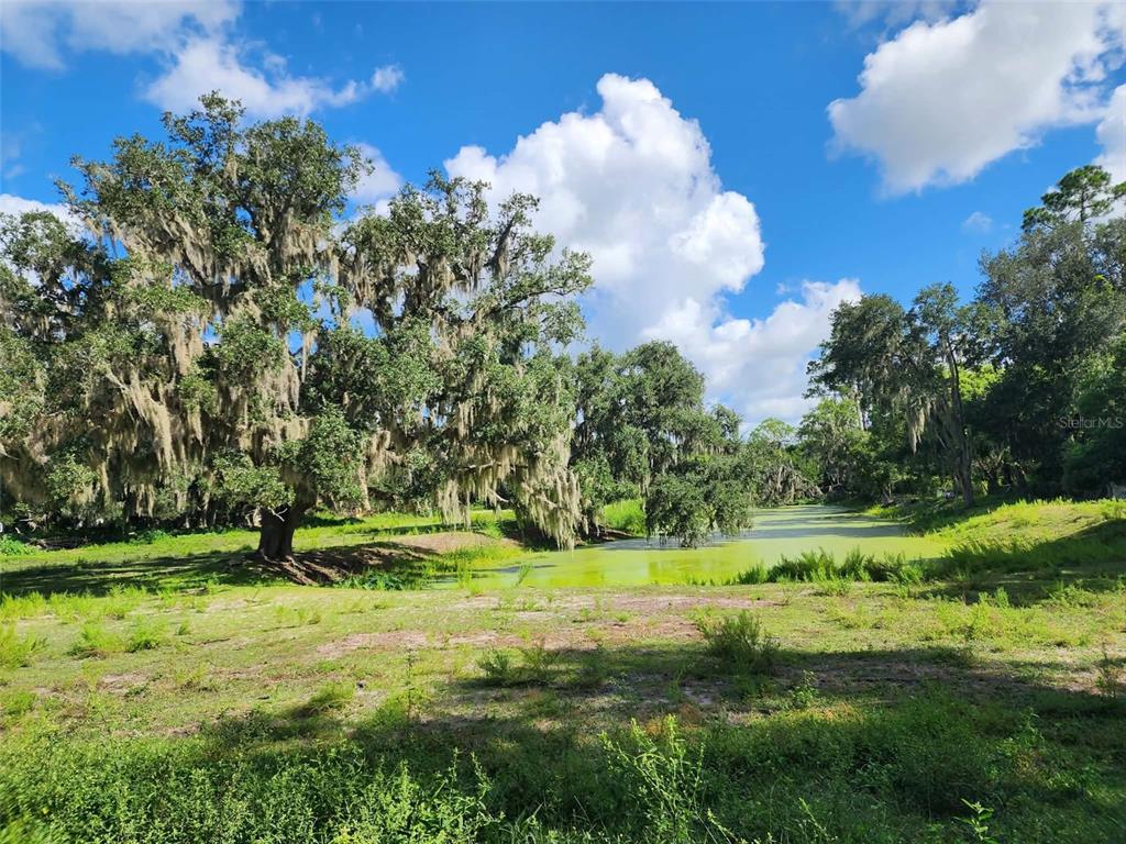 3102 THONOTOSASSA ROAD, PLANT CITY, FL — photo 2 of 30