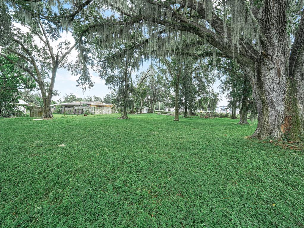 3102 THONOTOSASSA ROAD, PLANT CITY, FL — photo 3 of 30