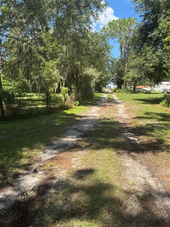 A dirt driveway leads through a grassy, tree-lined lot toward a distant building — 29244 SANIBEL DRIVE, WESLEY CHAPEL, FL