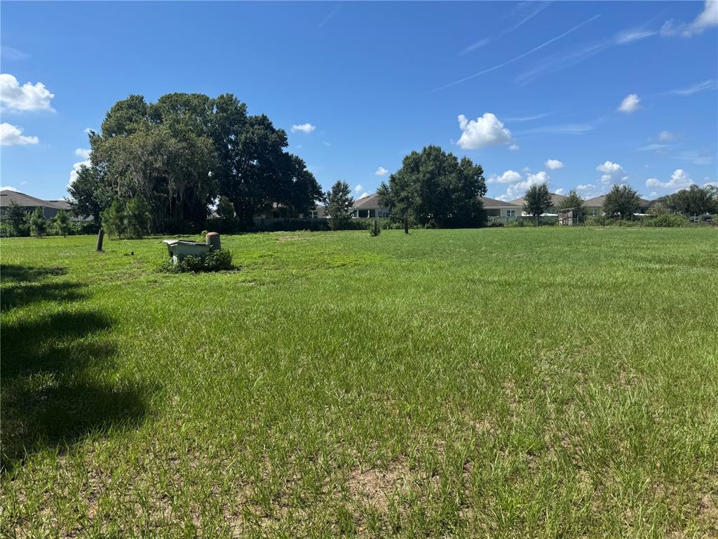 A large, grassy, undeveloped lot features scattered trees and a small utility structure — 29244 SANIBEL DRIVE, WESLEY CHAPEL, FL