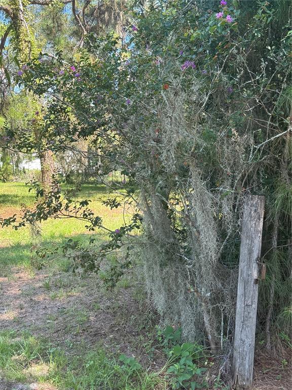 A wooden fence post stands beside a flowering crape myrtle tree draped in Spanish moss — 29244 SANIBEL DRIVE, WESLEY CHAPEL, FL