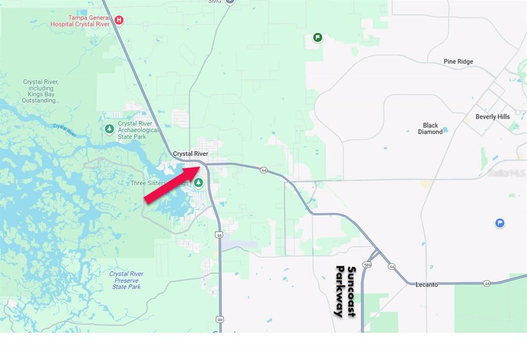 This is a map showing the area around Crystal River, Florida, with a red arrow pointing toward the city center — 602 NE US HIGHWAY 19, CRYSTAL RIVER, FL