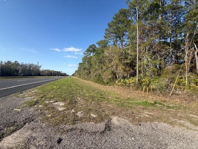 A paved road runs alongside a grassy shoulder and a dense line of pine trees — TBD US 19, INGLIS, FL