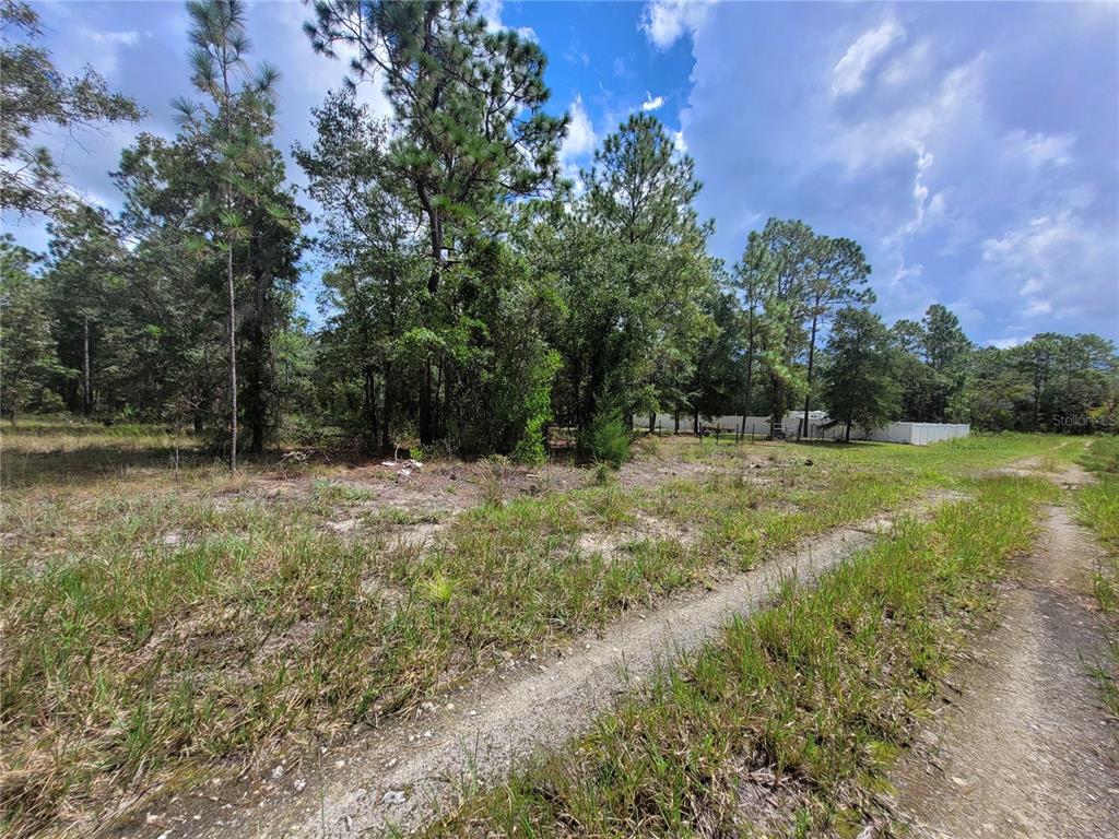 0 NE 3RD PL, WILLISTON, FL — photo 4 of 13