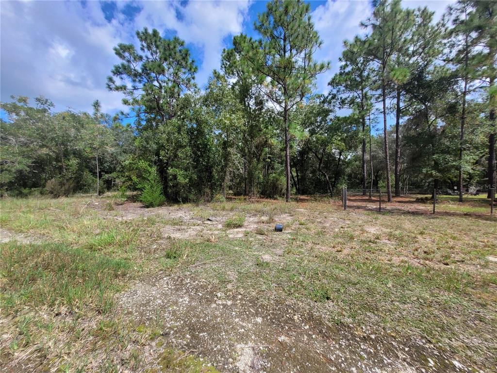 0 NE 3RD PL, WILLISTON, FL — photo 5 of 13