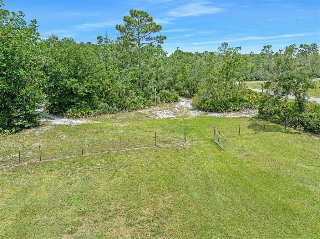 A grassy backyard features a wire fence and a gate bordering a wooded area — 32543 PONDEROSA AVENUE, DELAND, FL