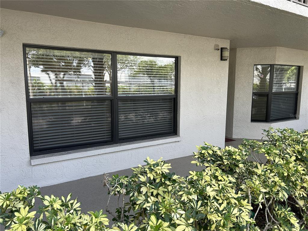 A view of a building exterior featuring white stucco walls, dark-framed windows, and green shrubs — 1316 PASADENA AVENUE S UNIT 102, SOUTH PASADENA, FL