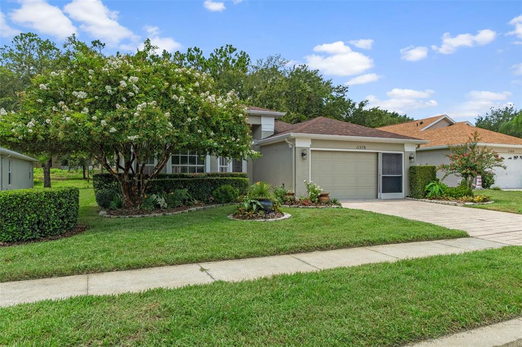 A single-story house with a beige exterior, a two-car garage, and a large flowering tree — 11578 NEW HAVEN DRIVE, SPRING HILL, FL