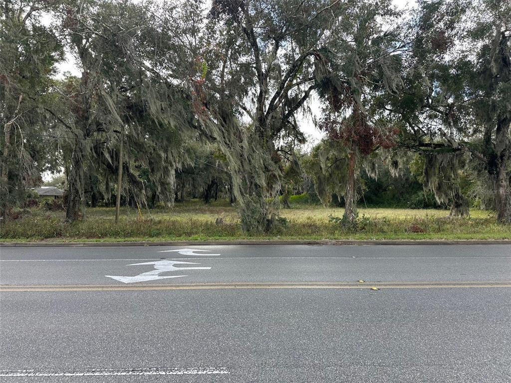 A vacant, tree-covered lot sits behind a paved road with painted directional arrows — DOYLE ROAD, OSTEEN, FL