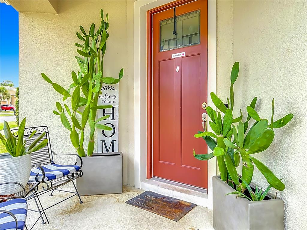 A red front door is flanked by two large potted cacti on a concrete porch — 2599 RIDGETOP LN, CLERMONT, FL