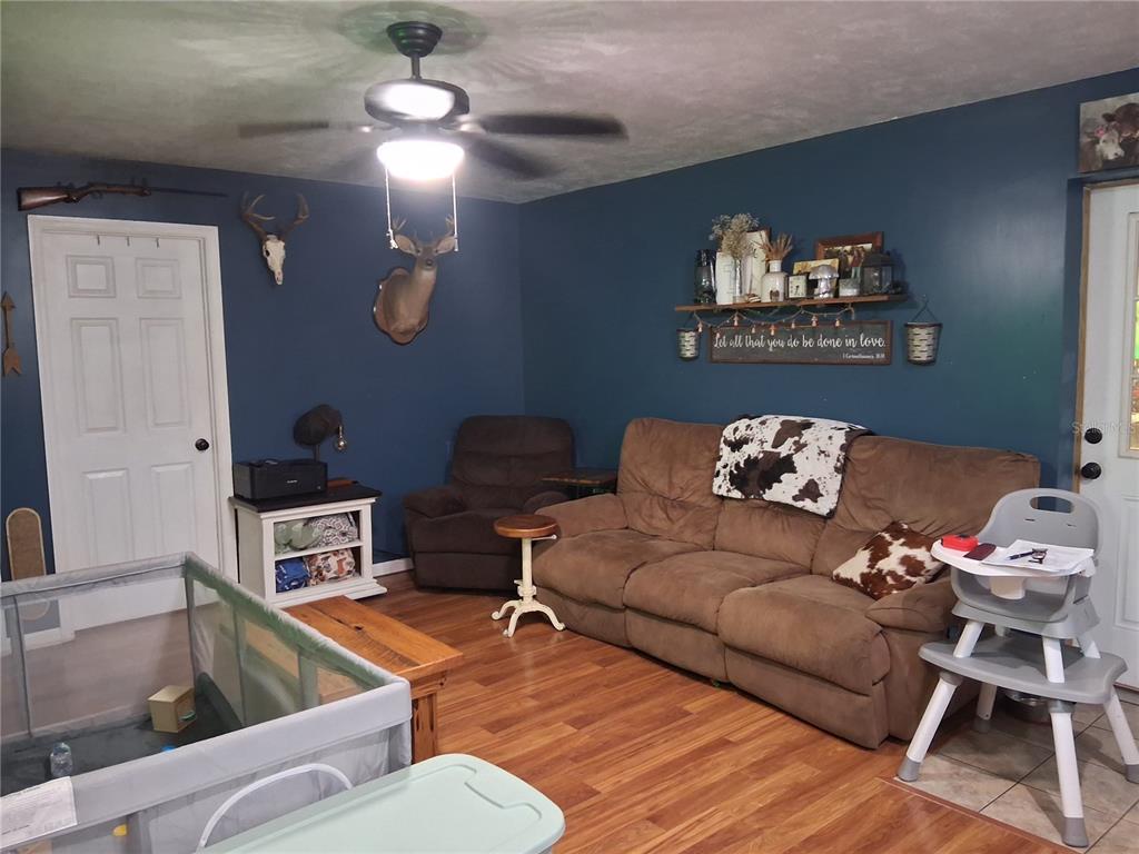 A living room features blue walls, a brown sofa, a recliner, and a ceiling fan — 10200 CR 749, WEBSTER, FL
