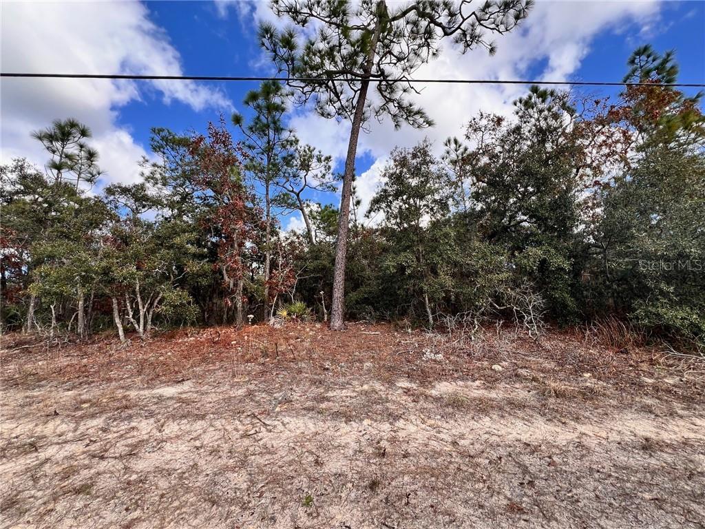 6328 W Pine Ridge BOULEVARD, BEVERLY HILLS, FL — photo 4 of 14