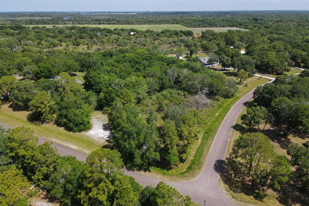 An aerial view shows a wooded, undeveloped corner lot bordered by two paved roads — 1729 SHENANDOAH ROAD, WIMAUMA, FL