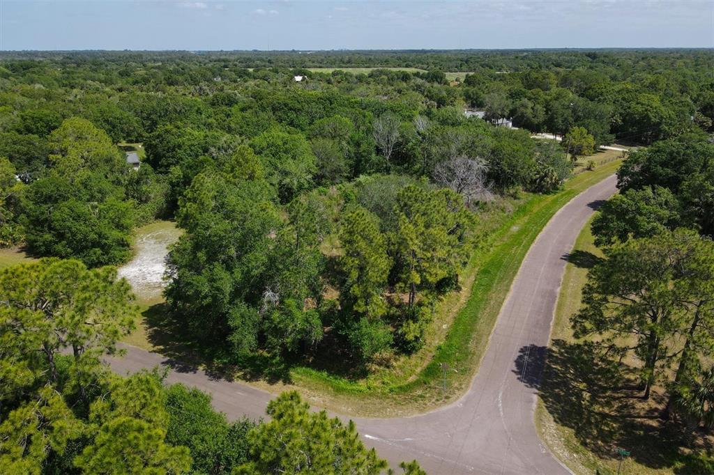 An aerial view shows a wooded, undeveloped corner lot bordered by two paved roads — 1729 SHENANDOAH ROAD, WIMAUMA, FL