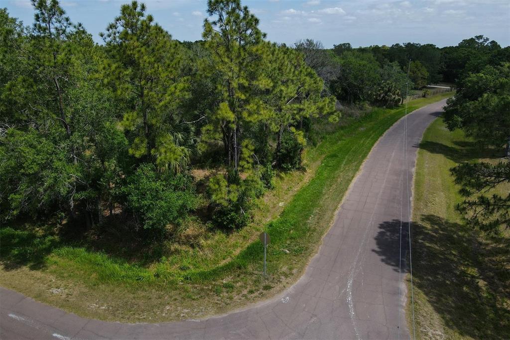 An aerial view shows a paved road curving past a wooded lot with pine trees — 1729 SHENANDOAH ROAD, WIMAUMA, FL