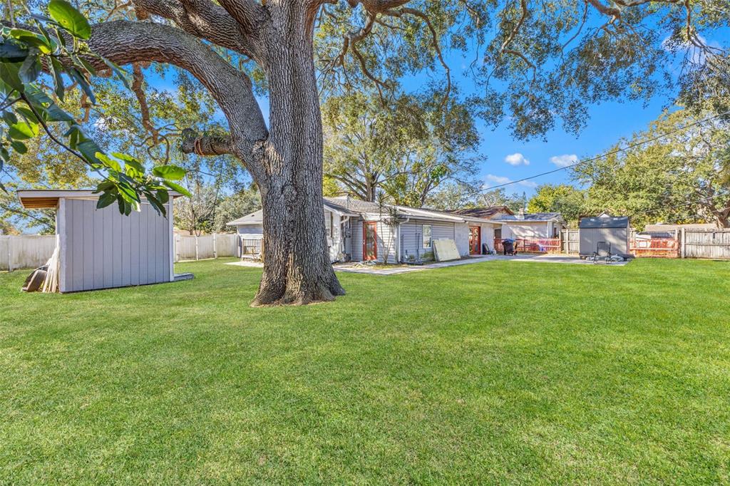 A large tree stands in the backyard of a house with a gray storage shed — 1747 26TH AVENUE N, ST PETERSBURG, FL