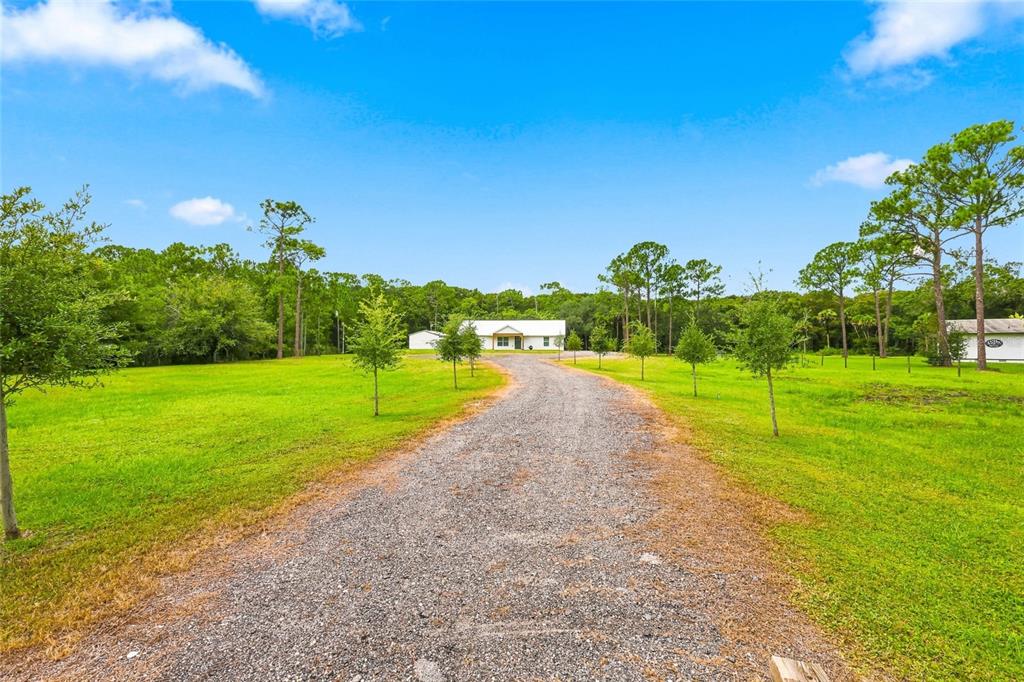 A gravel driveway leads to a white house surrounded by a grassy lawn and trees — 1315 NE 342ND TRAIL, OKEECHOBEE, FL