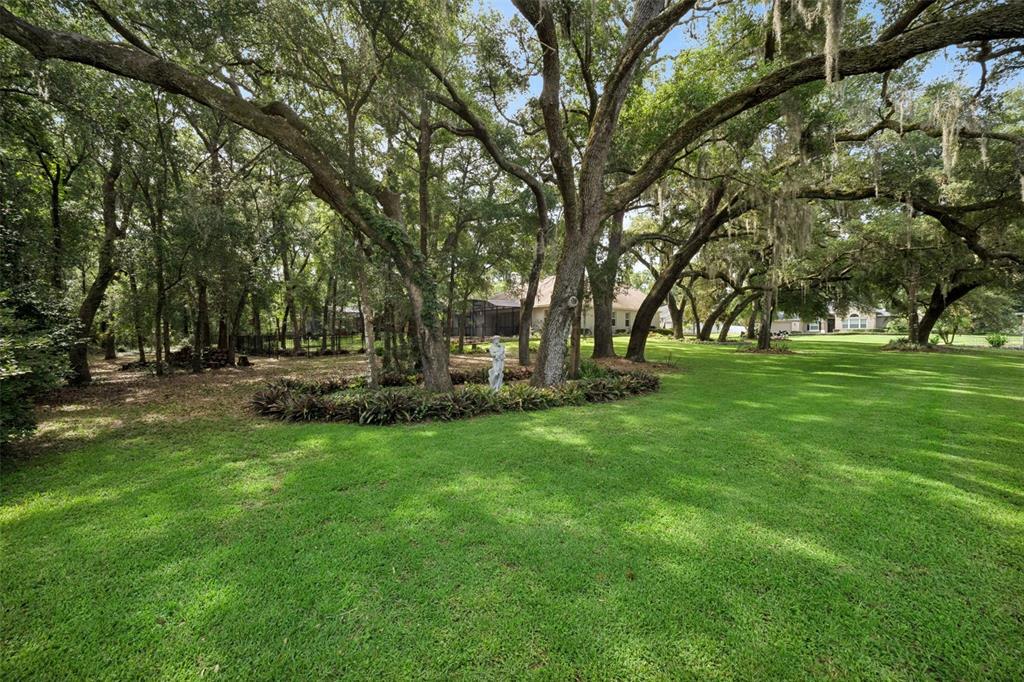 A large grassy lawn features mature oak trees and a small statue in the center — 597 SAND WEDGE LOOP, APOPKA, FL