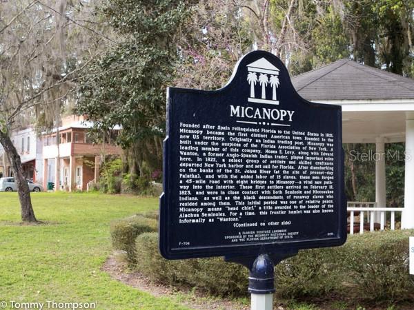 302 NE BAY AVENUE, MICANOPY, FL — photo 4 of 13