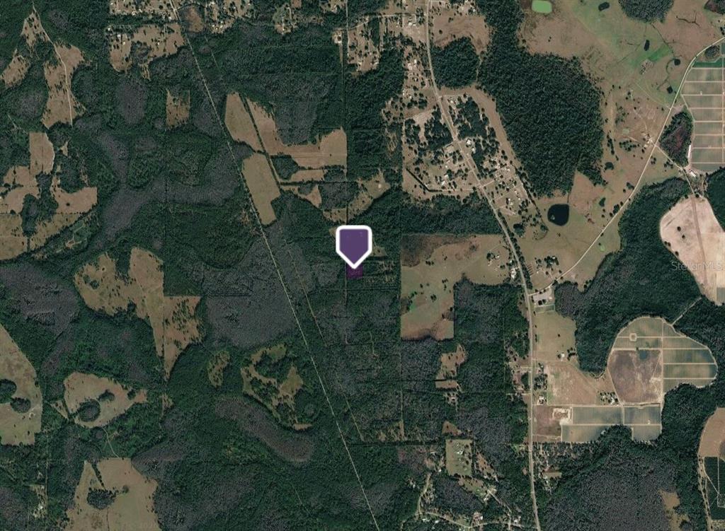 PAS LANE, POLK CITY, FL — photo 3 of 5