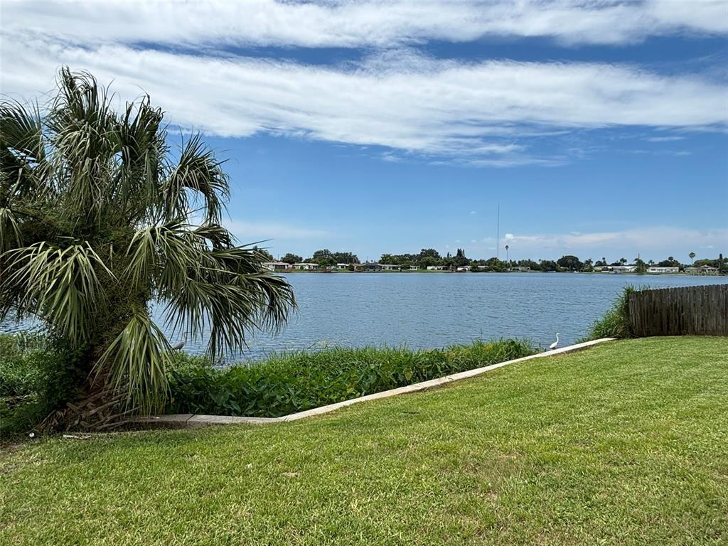 A palm tree stands beside a grassy lawn overlooking a lake under a blue sky — 4368 SUNRAY DRIVE, HOLIDAY, FL