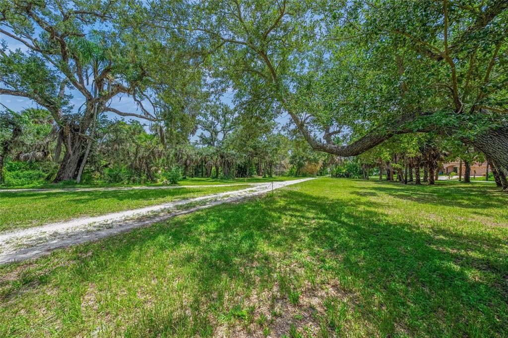 A dirt path leads through a grassy lot shaded by large, mature oak trees — 0 TWIN LAKES AVENUE, NOKOMIS, FL