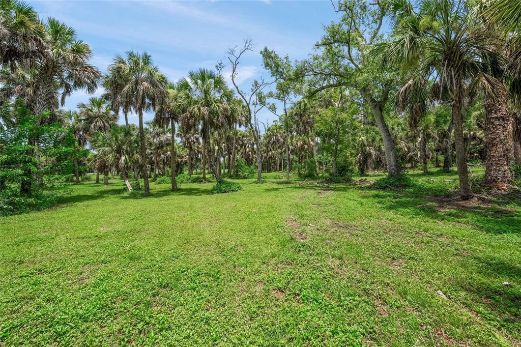 A grassy, open lot is surrounded by many palm trees and other mature trees — 0 TWIN LAKES AVENUE, NOKOMIS, FL