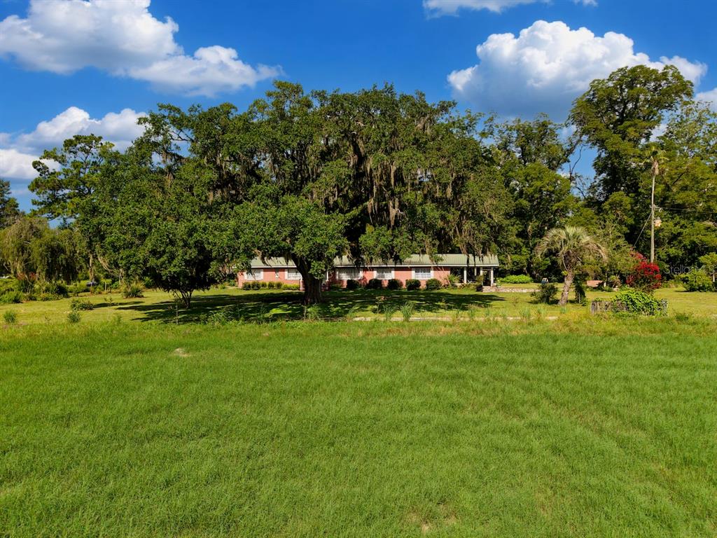 A single-story house with a pink exterior sits behind a large oak tree in a field — 18951 SE 15TH STREET, WILLISTON, FL