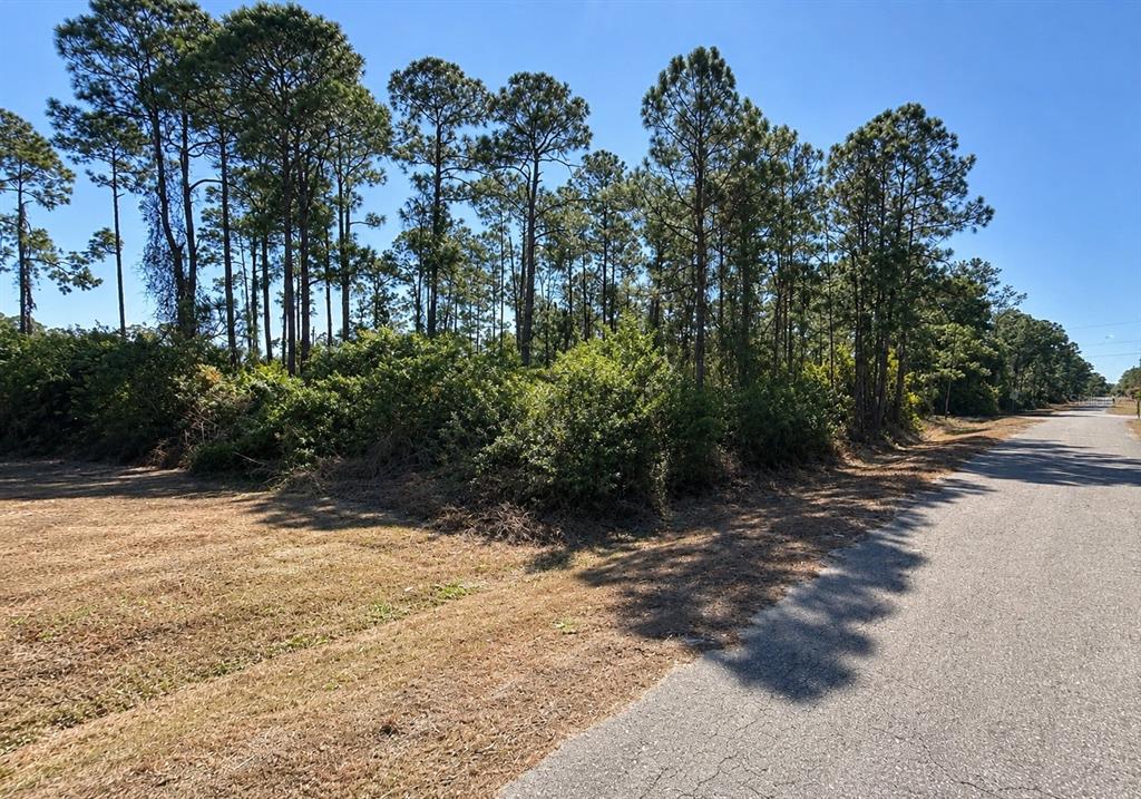 3001 E 21ST STREET, ALVA, FL — photo 2 of 4
