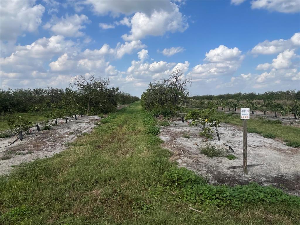 NE HWY 70 UNIT 04-24-04