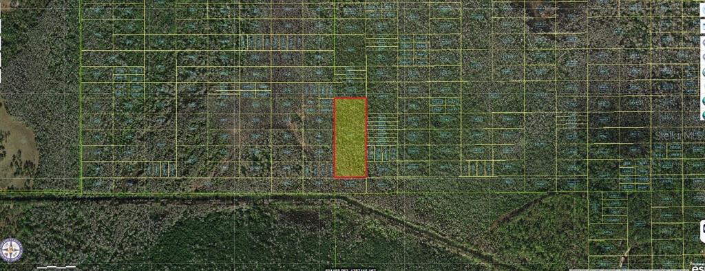 HOLOPAW GROVES ROAD