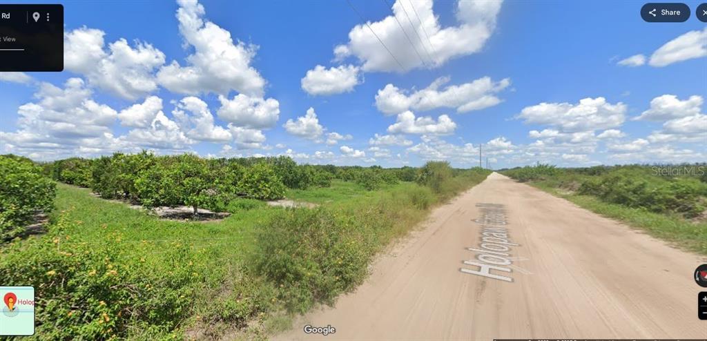 A dirt road runs alongside a citrus grove under a bright blue sky with clouds — HOLOPAW GROVES ROAD, ST CLOUD, FL