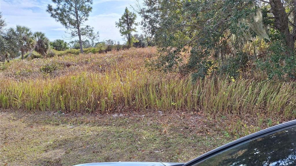 A view of a grassy, overgrown vacant lot with scattered trees and shrubs — JAYLENE ROAD, NORTH PORT, FL