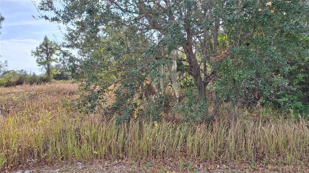 A view of a grassy, undeveloped lot with trees and brush under a blue sky — JAYLENE ROAD, NORTH PORT, FL