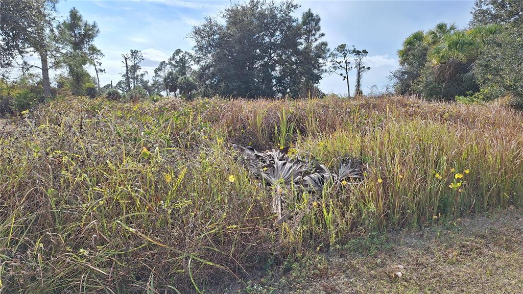 A vacant, overgrown lot with tall grasses, weeds, and scattered trees under a blue sky — JAYLENE ROAD, NORTH PORT, FL