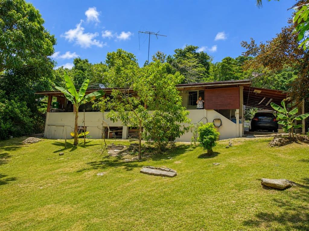 A single-story house with a covered porch and carport sits on a grassy, tree-lined lot — 2.2 677 ROAD, VEGA ALTA, PR