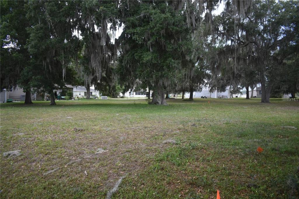 A grassy, tree-filled vacant lot with Spanish moss hanging from the branches — LOT 13 BLK D LEXINGTON CIRCLE, WILDWOOD, FL