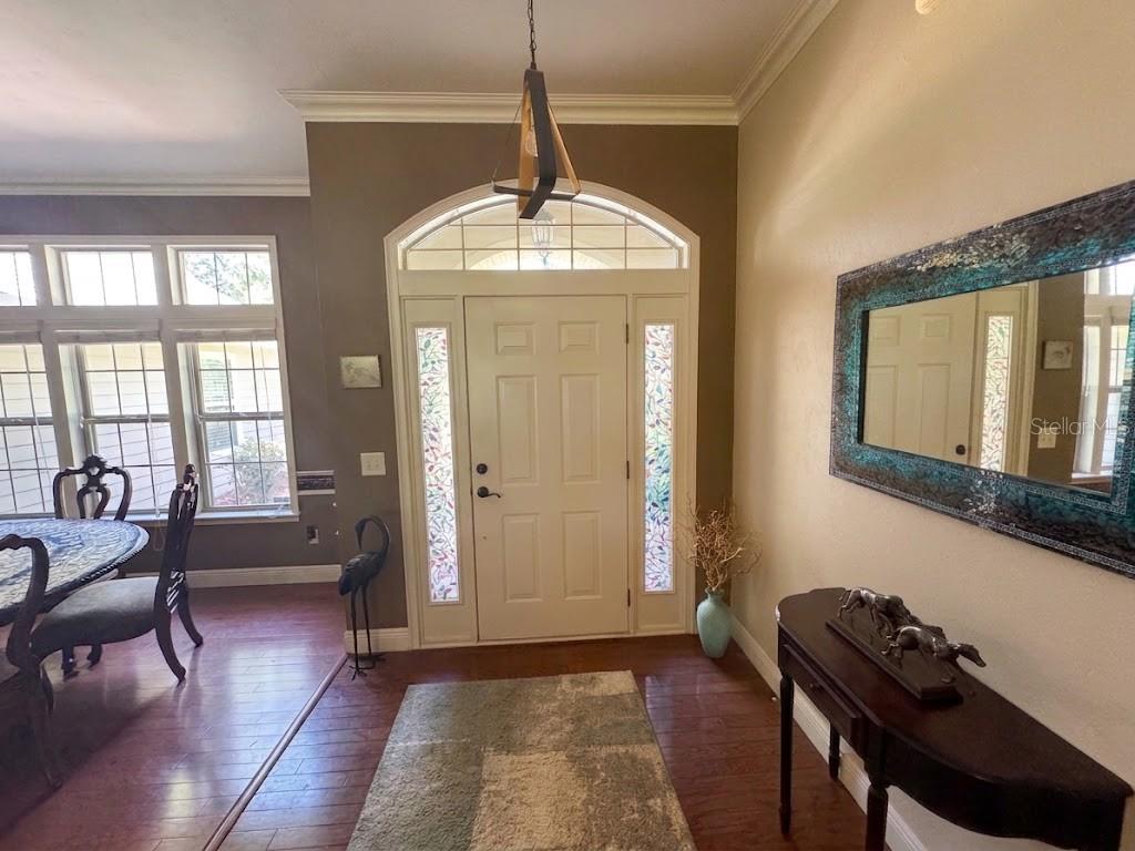 An entryway features a white front door with sidelights, a wooden pendant light, and flooring — 20273 NW 251ST TERRACE, HIGH SPRINGS, FL