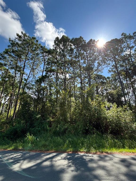 185 DEEYAN AVENUE NW, PALM BAY, FL — photo 2 of 4