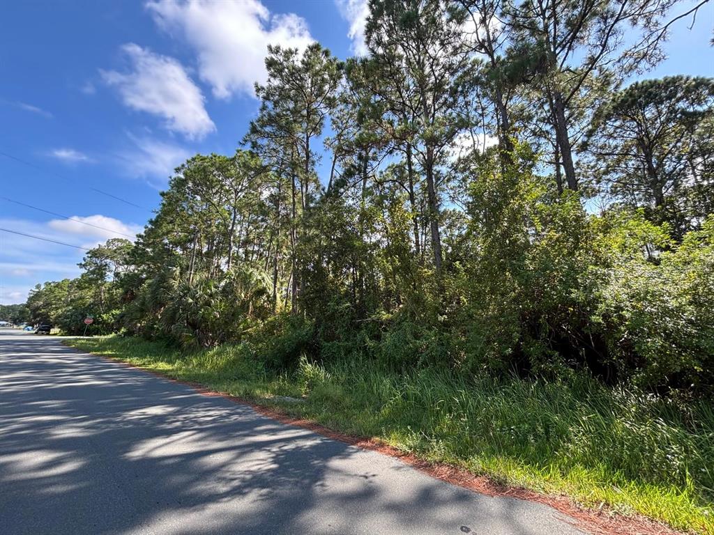 185 DEEYAN AVENUE NW, PALM BAY, FL — photo 3 of 4