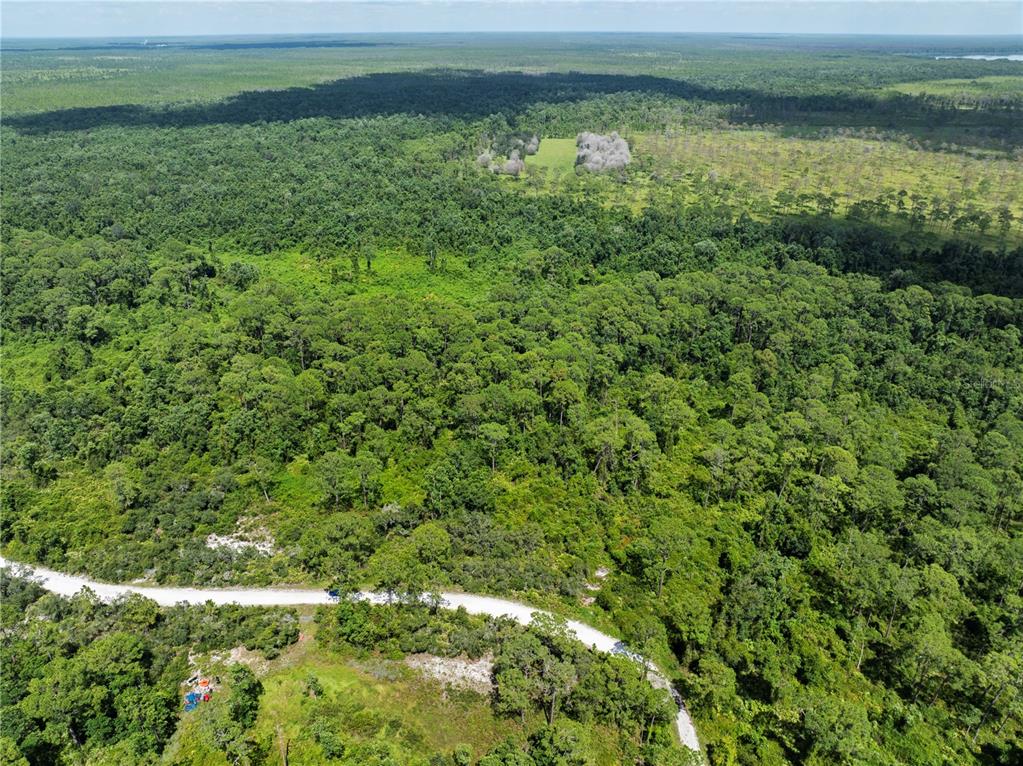 An aerial view shows a dirt road winding through a dense, green forested landscape — 2641 BEAR RUN S, FROSTPROOF, FL