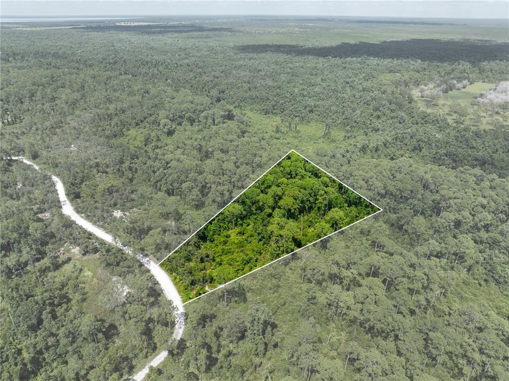 An aerial view shows a triangular plot of land surrounded by dense forest and trees — 2641 BEAR RUN S, FROSTPROOF, FL